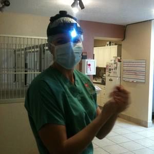 Meet your Posher, Kerry